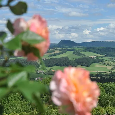 Panorama Honey-do 3* Hohenstaufen